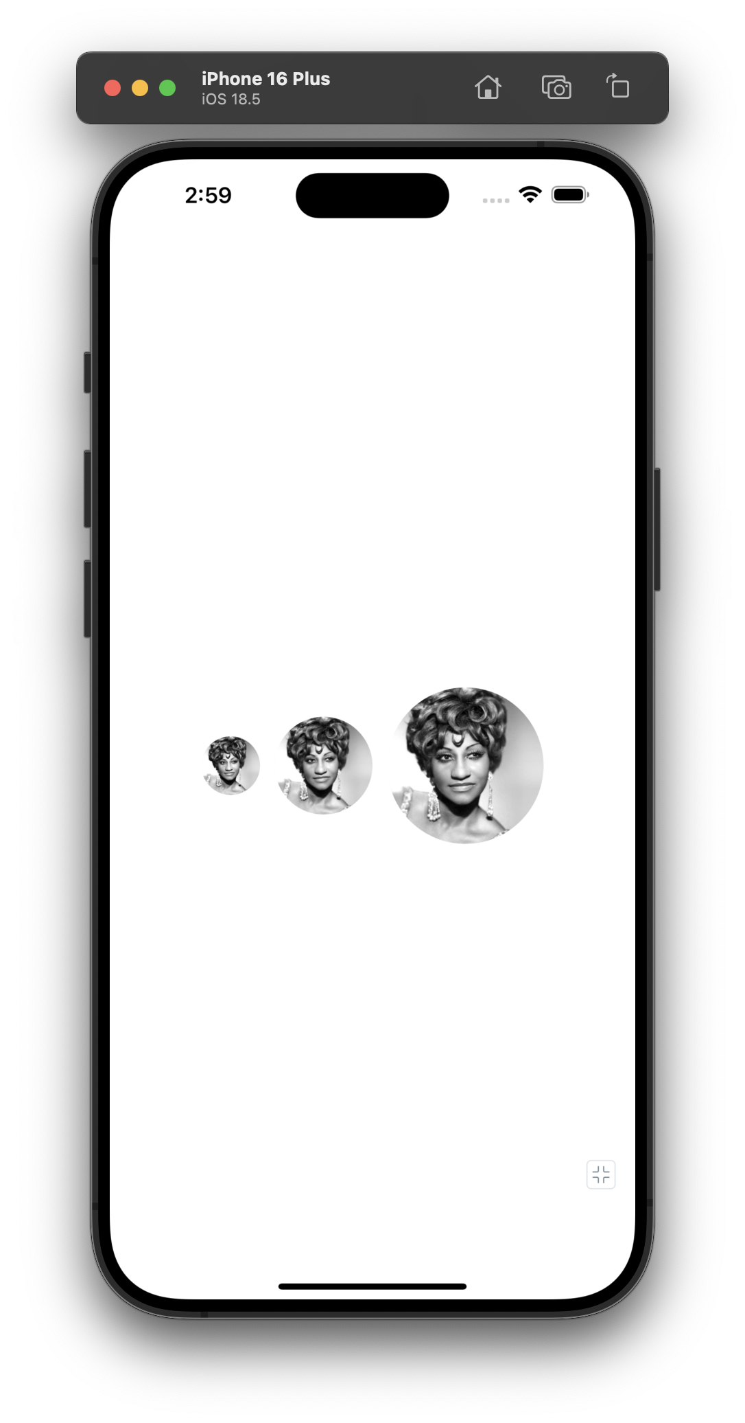 Screenshot of different size variants for Avatar